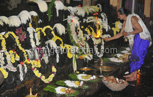 nagapanchami13aug11 5